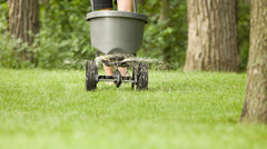 Tips for Fertilizing Your Lawn