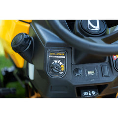 Cub Cadet XT1 LT42 IP Lawn Tractor