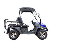 Bighorn 200 GVXL-T DF EFI Golf Cart